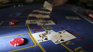 19bet com